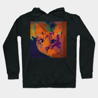 Fish-Eater Cat Hoodie